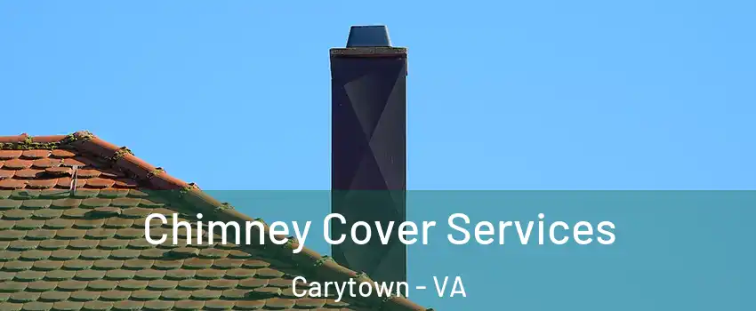 Chimney Cover Services Carytown - VA