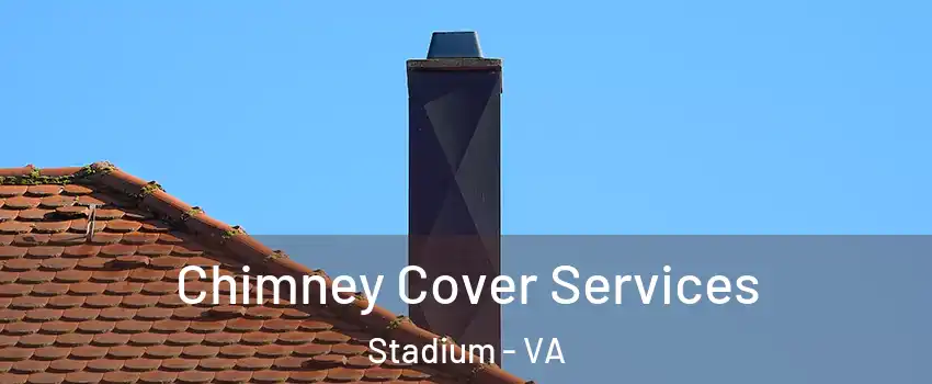 Chimney Cover Services Stadium - VA