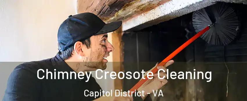 Chimney Creosote Cleaning Capitol District - VA