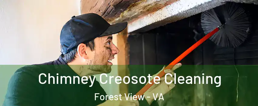 Chimney Creosote Cleaning Forest View - VA