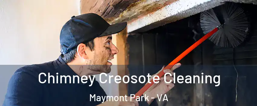 Chimney Creosote Cleaning Maymont Park - VA