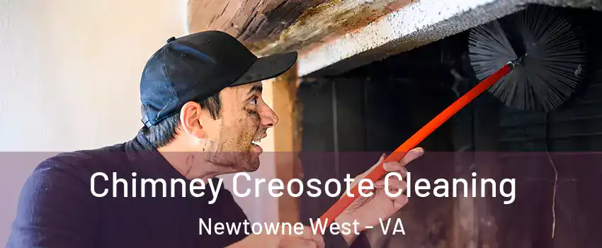 Chimney Creosote Cleaning Newtowne West - VA