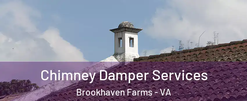 Chimney Damper Services Brookhaven Farms - VA