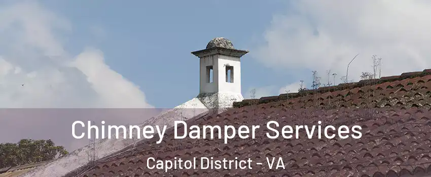Chimney Damper Services Capitol District - VA