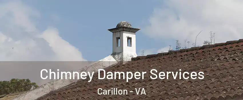 Chimney Damper Services Carillon - VA