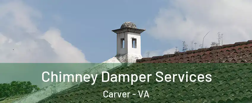 Chimney Damper Services Carver - VA