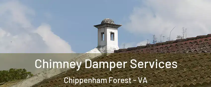 Chimney Damper Services Chippenham Forest - VA