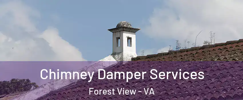 Chimney Damper Services Forest View - VA