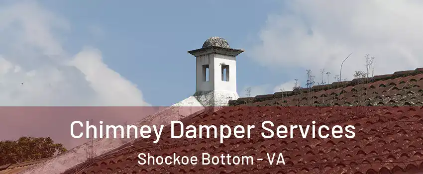 Chimney Damper Services Shockoe Bottom - VA