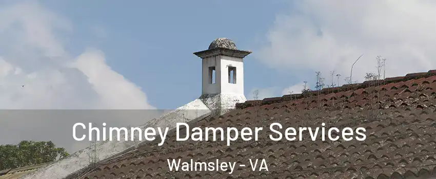Chimney Damper Services Walmsley - VA