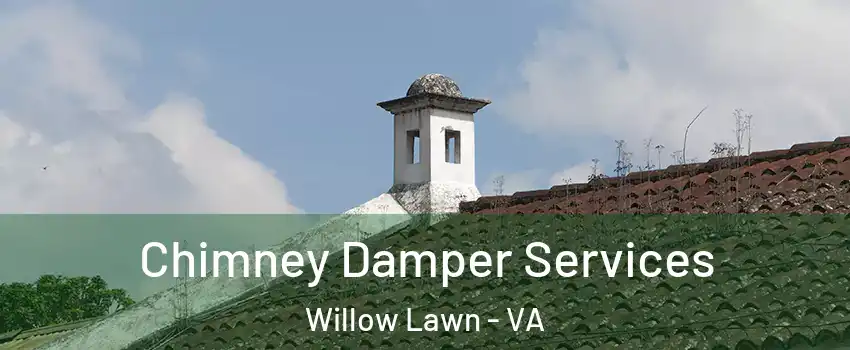 Chimney Damper Services Willow Lawn - VA
