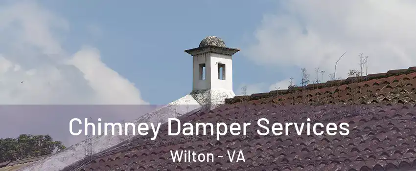 Chimney Damper Services Wilton - VA