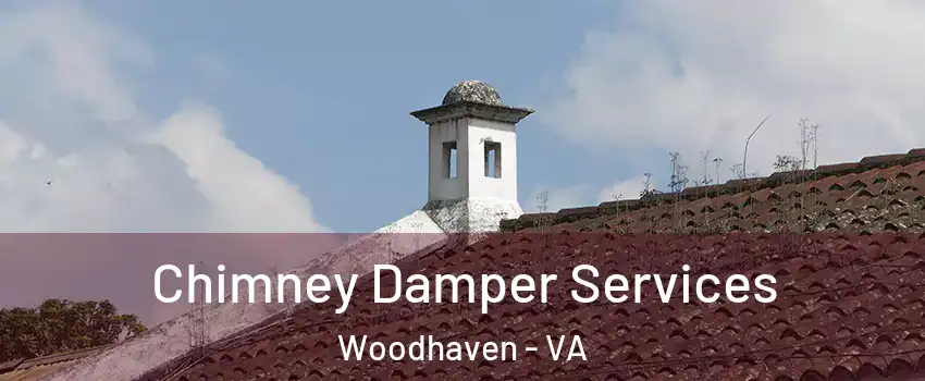 Chimney Damper Services Woodhaven - VA