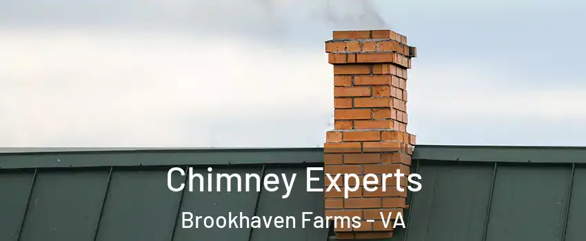 Chimney Experts Brookhaven Farms - VA
