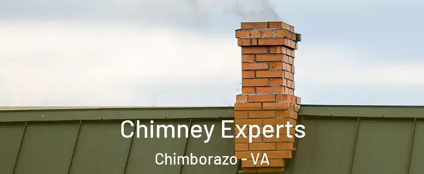 Chimney Experts Chimborazo - VA
