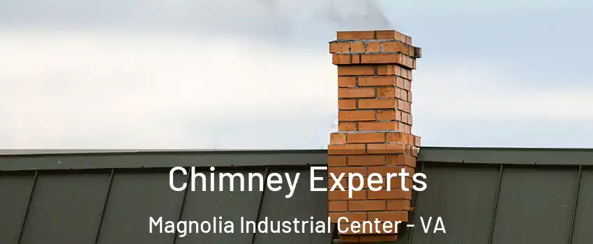 Chimney Experts Magnolia Industrial Center - VA