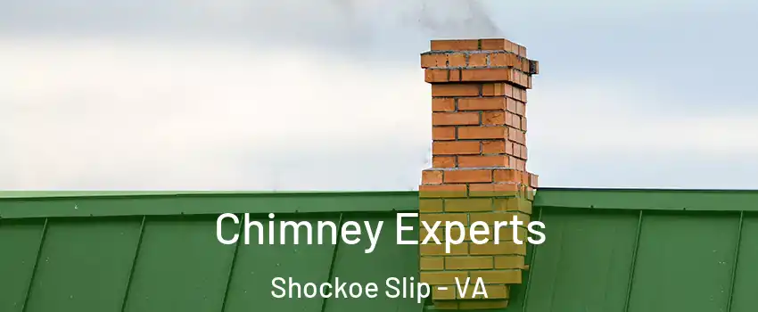 Chimney Experts Shockoe Slip - VA