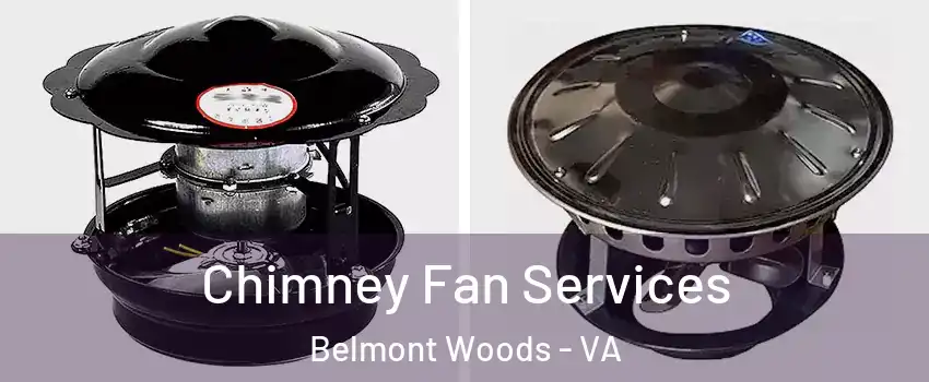 Chimney Fan Services Belmont Woods - VA