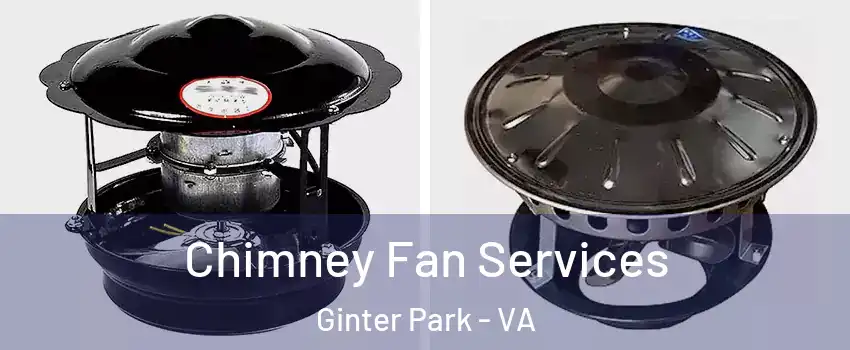 Chimney Fan Services Ginter Park - VA