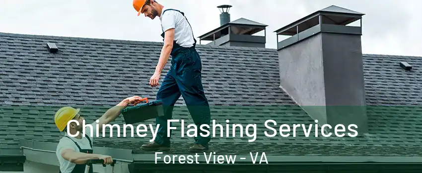 Chimney Flashing Services Forest View - VA
