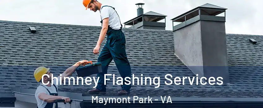 Chimney Flashing Services Maymont Park - VA