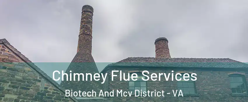 Chimney Flue Services Biotech And Mcv District - VA