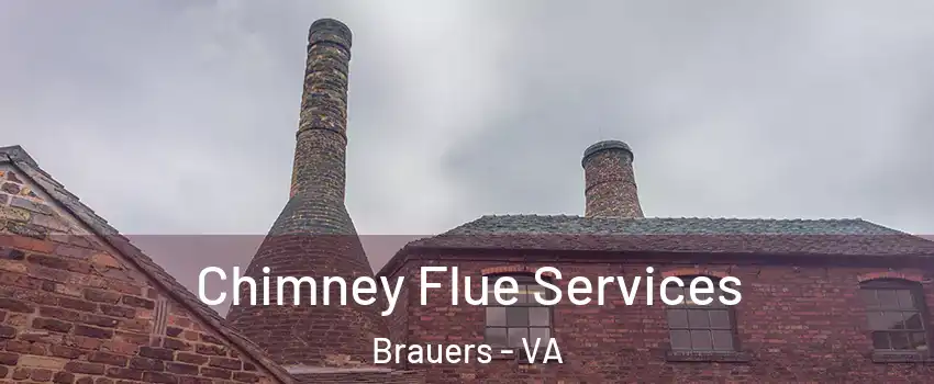 Chimney Flue Services Brauers - VA