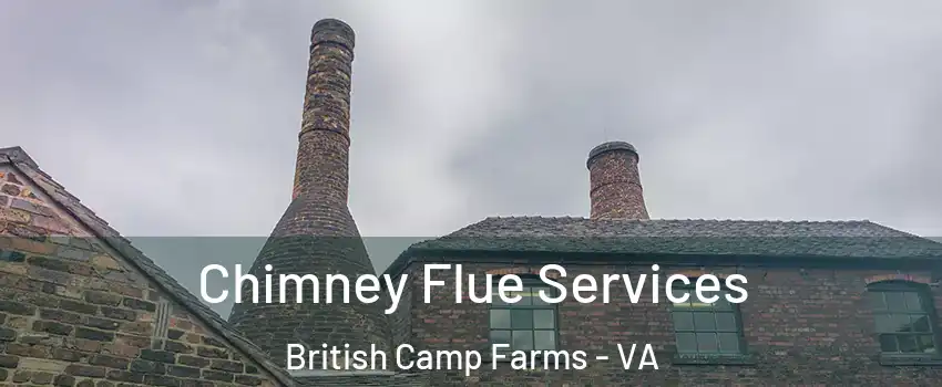 Chimney Flue Services British Camp Farms - VA