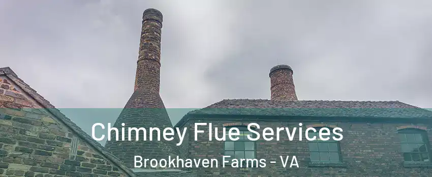 Chimney Flue Services Brookhaven Farms - VA