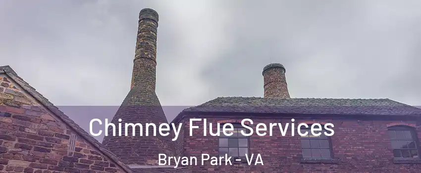 Chimney Flue Services Bryan Park - VA
