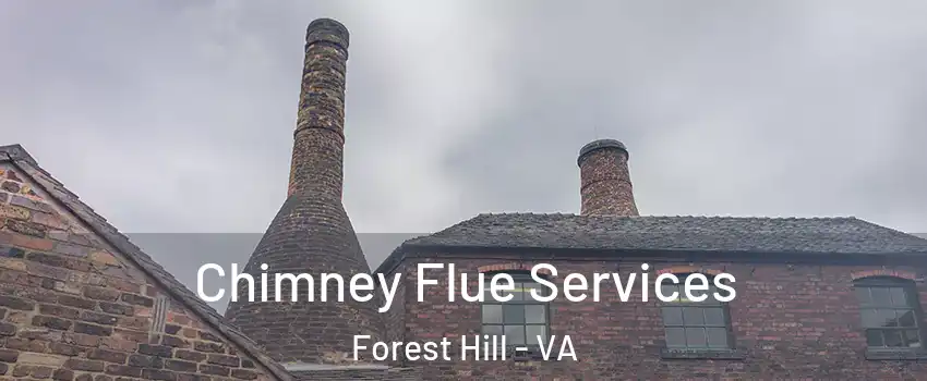 Chimney Flue Services Forest Hill - VA