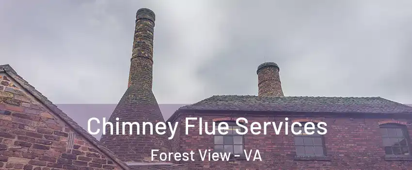 Chimney Flue Services Forest View - VA