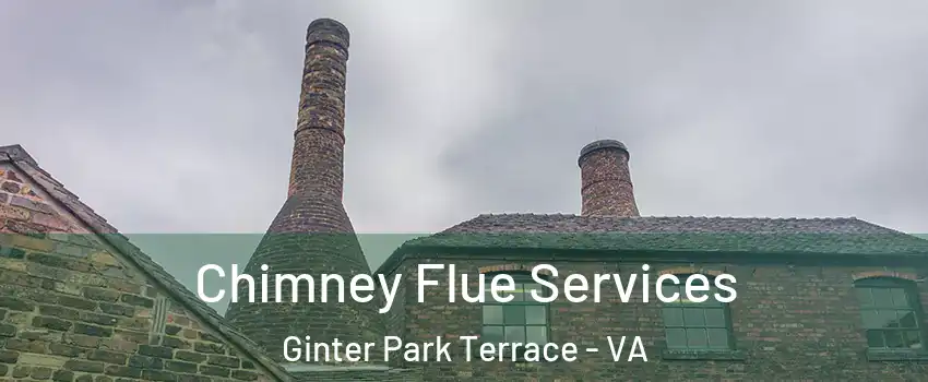Chimney Flue Services Ginter Park Terrace - VA