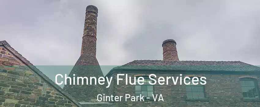 Chimney Flue Services Ginter Park - VA