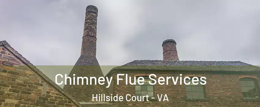 Chimney Flue Services Hillside Court - VA
