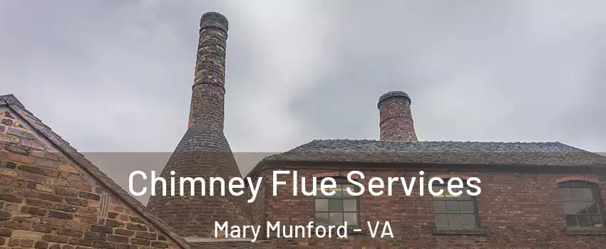 Chimney Flue Services Mary Munford - VA