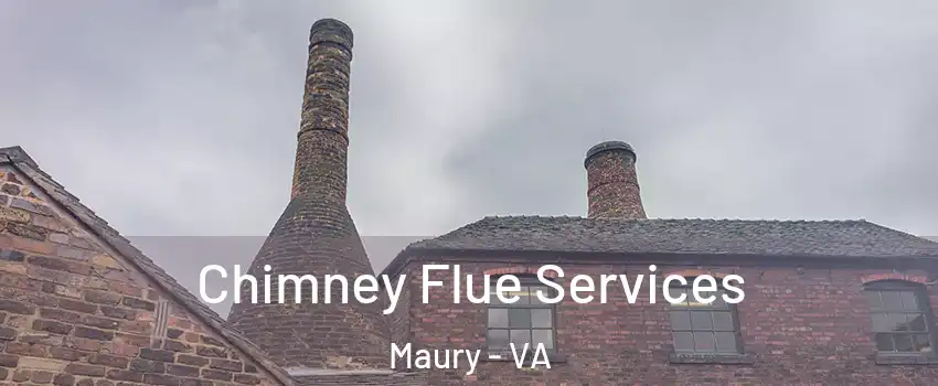 Chimney Flue Services Maury - VA
