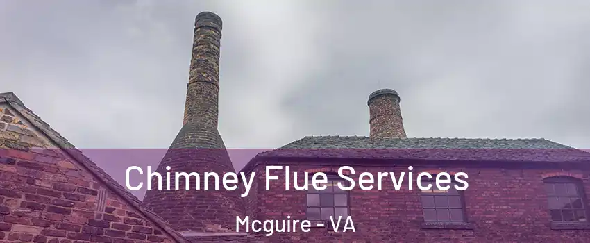 Chimney Flue Services Mcguire - VA