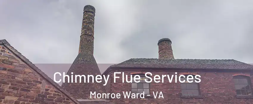 Chimney Flue Services Monroe Ward - VA