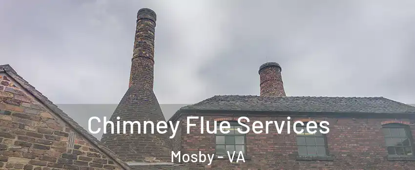 Chimney Flue Services Mosby - VA