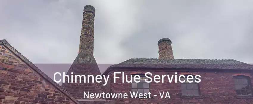 Chimney Flue Services Newtowne West - VA