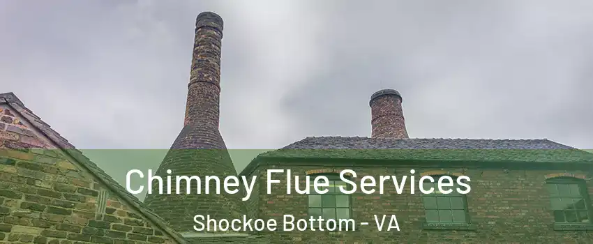 Chimney Flue Services Shockoe Bottom - VA
