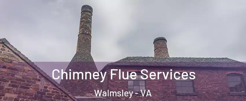 Chimney Flue Services Walmsley - VA