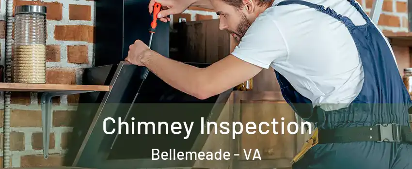 Chimney Inspection Bellemeade - VA