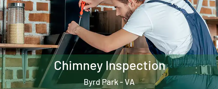 Chimney Inspection Byrd Park - VA