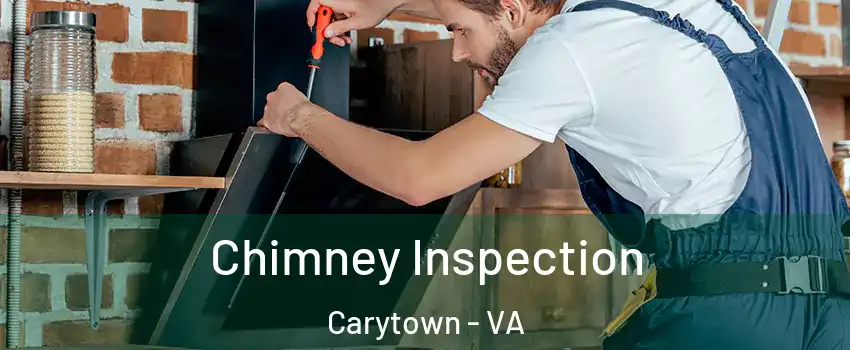 Chimney Inspection Carytown - VA
