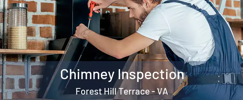 Chimney Inspection Forest Hill Terrace - VA