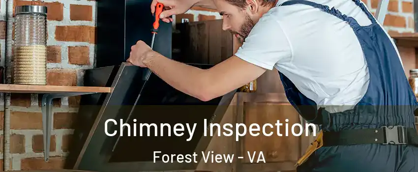 Chimney Inspection Forest View - VA