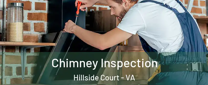 Chimney Inspection Hillside Court - VA