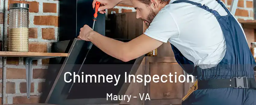 Chimney Inspection Maury - VA
